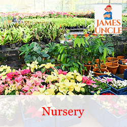 Nursery Mr. Tanmay Nandi in Chandannagar